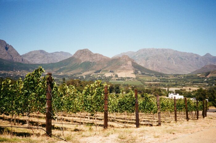 Luciano Tours Cape Winelands Tour