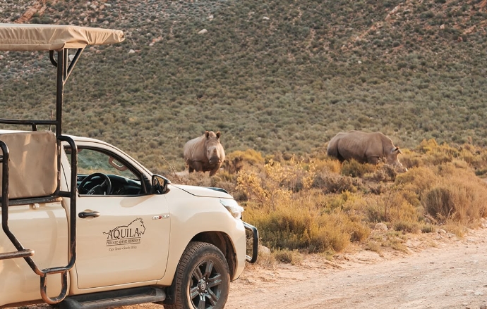 Luciano Tours Private Safari Experience